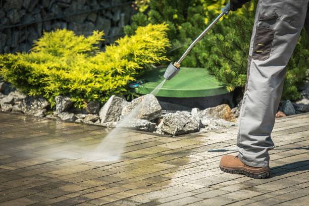 Best Animal Enclosure Cleaning  in Secaucus, NJ