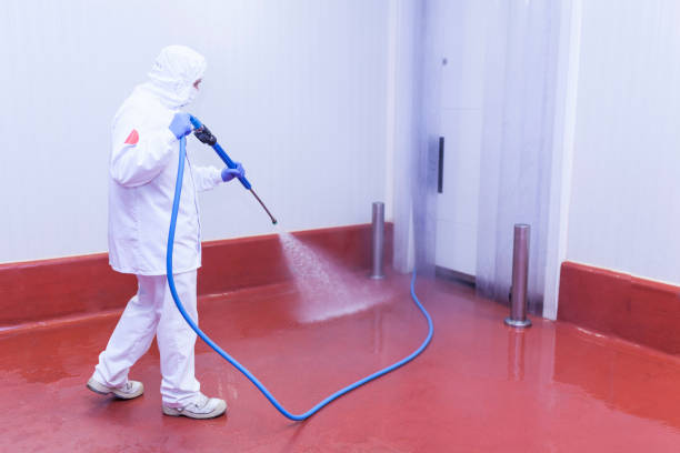 Best Soft Washing  in Secaucus, NJ